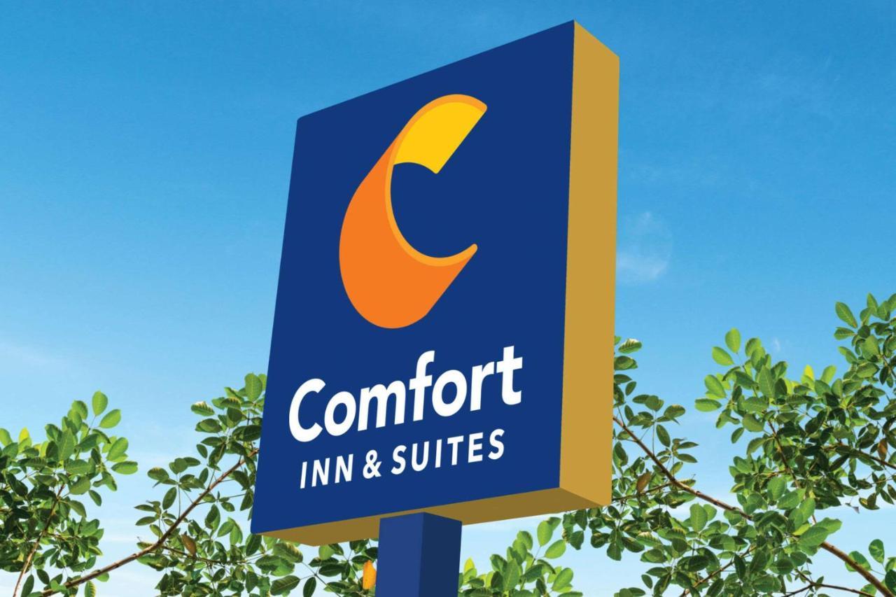 Comfort Inn & Suites Munising-Lakefront Eksteriør billede